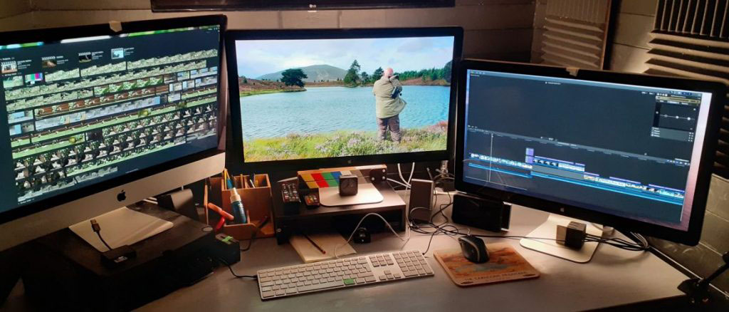 professional video editing software and setup